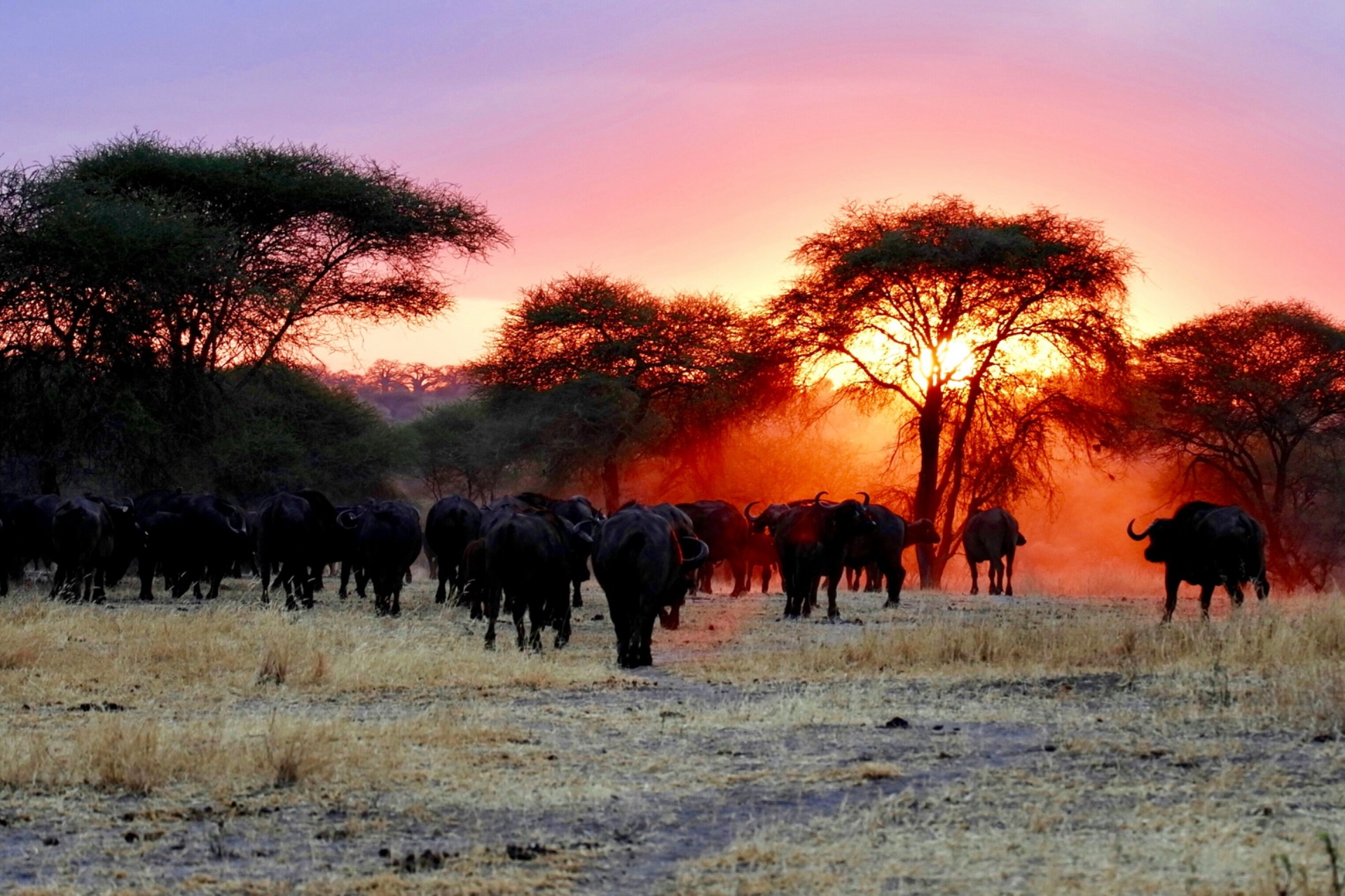 BOTSWANA