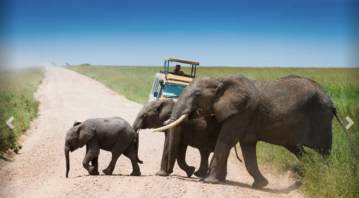 SUDAFRICA